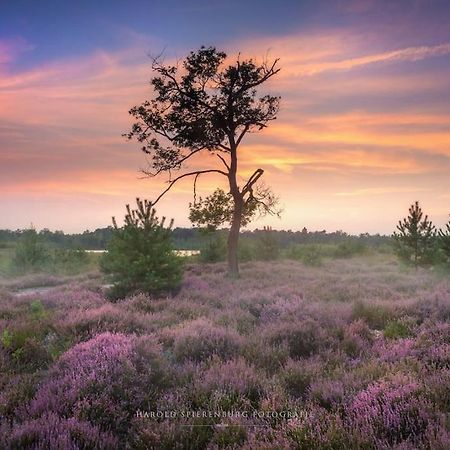 Vila Natuurhuisje Oisterwijk Exteriér fotografie