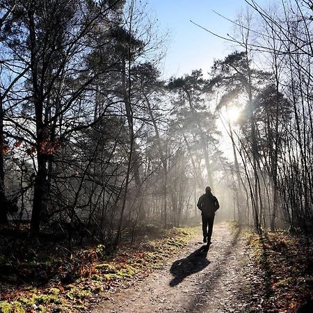 Vila Natuurhuisje Oisterwijk Exteriér fotografie