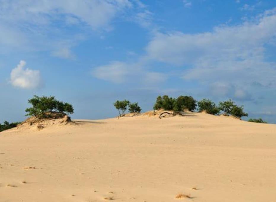 Vila Natuurhuisje Oisterwijk Exteriér fotografie