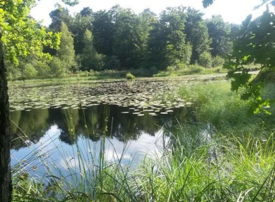 Vila Natuurhuisje Oisterwijk Exteriér fotografie