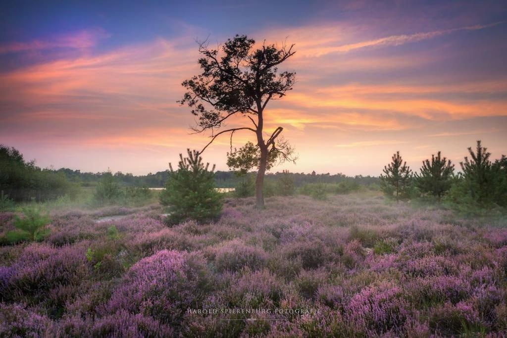 Vila Natuurhuisje Oisterwijk Exteriér fotografie