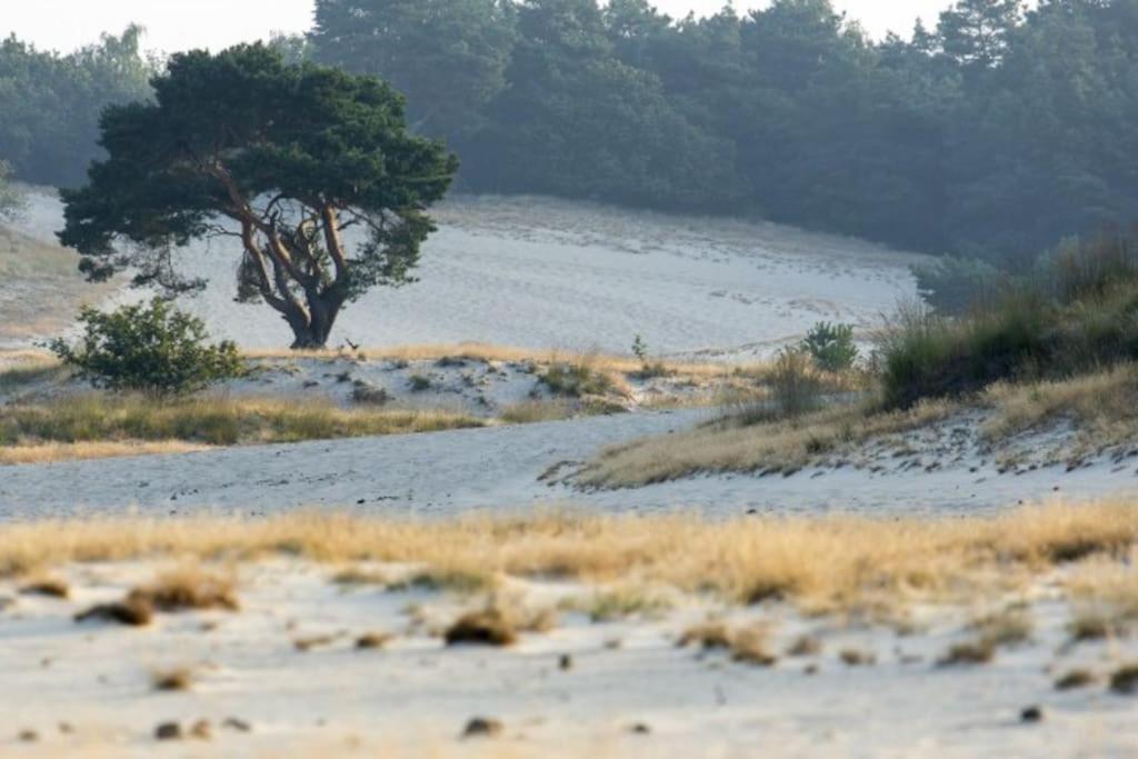 Vila Natuurhuisje Oisterwijk Exteriér fotografie