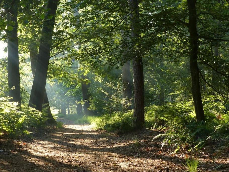 Vila Natuurhuisje Oisterwijk Exteriér fotografie