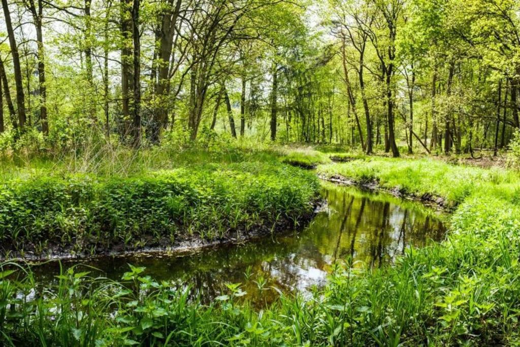 Vila Natuurhuisje Oisterwijk Exteriér fotografie