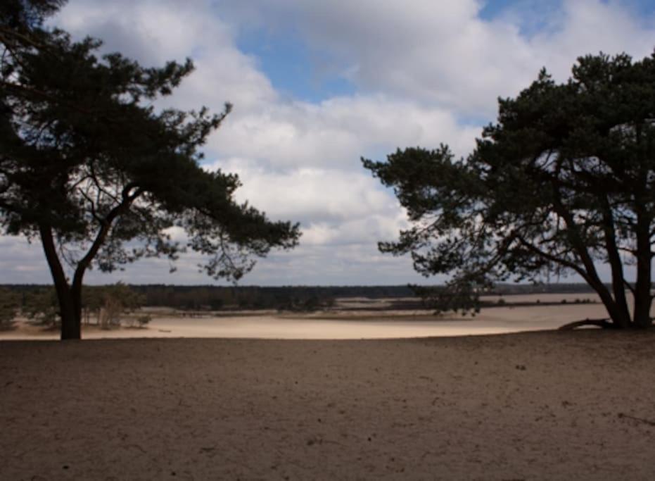 Vila Natuurhuisje Oisterwijk Exteriér fotografie