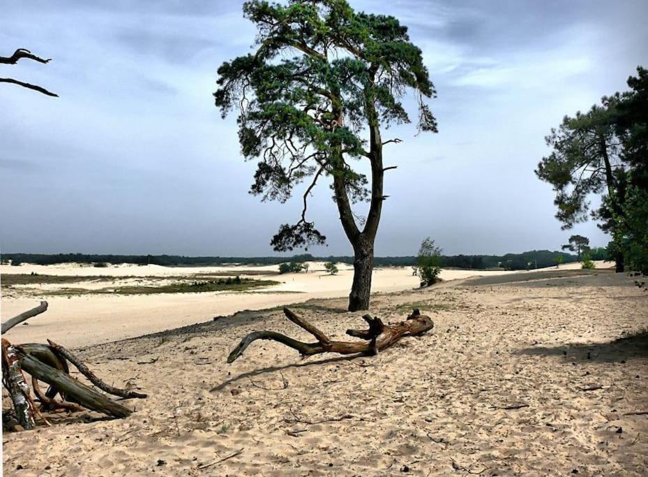 Vila Natuurhuisje Oisterwijk Exteriér fotografie